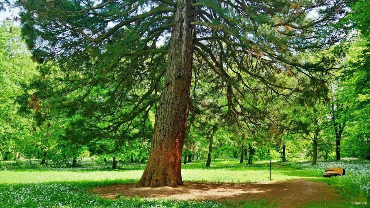 Agropenzion 7Divov Dolna Krupa Buitenkant foto